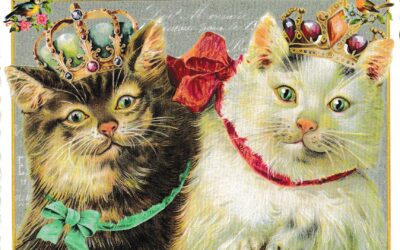 Upcoming Events Nov. 2025!