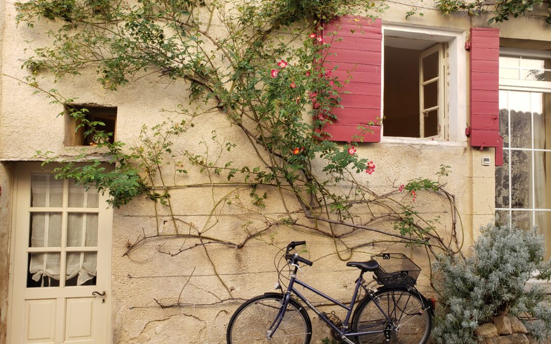 Summer in Provence!