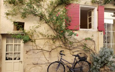 Summer in Provence!